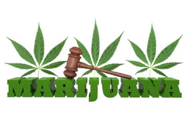 Piscataway Marijuana Lawyer